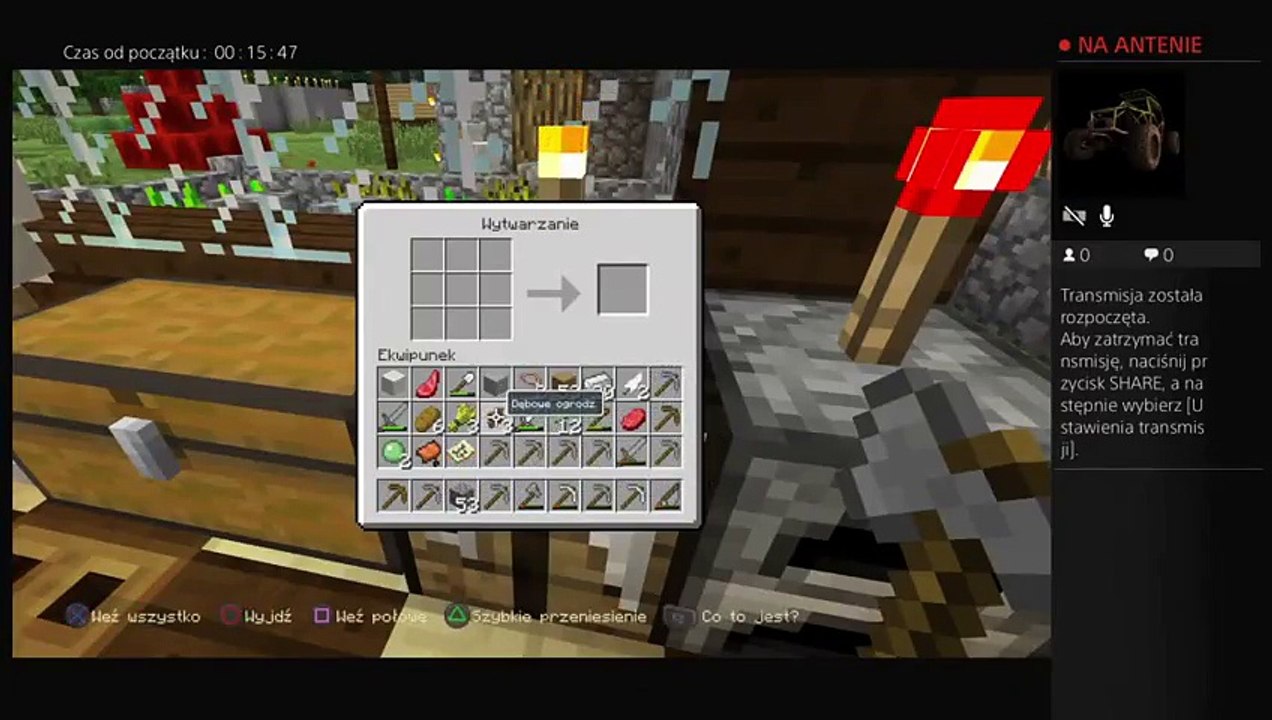 Minecraft (17)