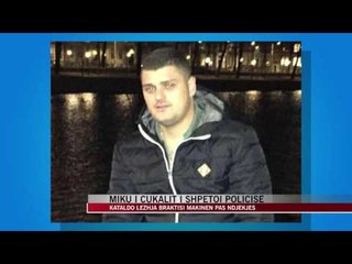 Miku i Cukalit që i shëtoi policisë, emër i njohur për uniformat blu - News, Lajme - Vizion Plus