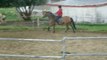 Pas, Galop et trot