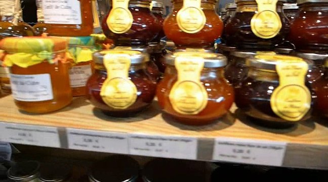 Marais salants autour de Guérande (44)