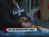 Lost dog reunited with family in Tucson