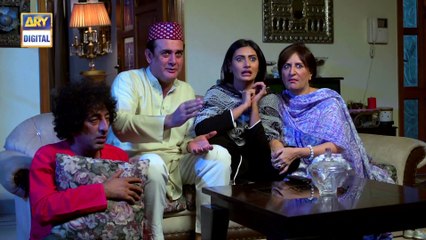 Watch Dilli Walay Dularay Babu Episode 15 - on Ary Digital in High Quality 3rd December 2016