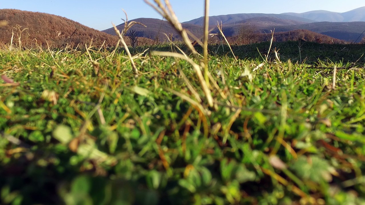 Arra e Seferit e incizuar me dron