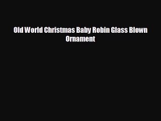 Old World Christmas Baby Robin Glass Blown Ornament