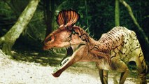 Le Royaume des Dinosaures HD 1/4 - Les Gagnants de l'Evolution (2011)