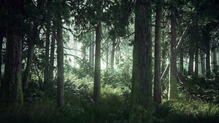 The Last of Us Part 2 Reveal Trailer - Playstation Experience 2016