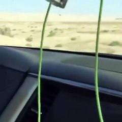 Qatar Royal Family Comes For The Hunting of Pakistan National Bird Chukar Partridge With The Permission of Nawaz Governm