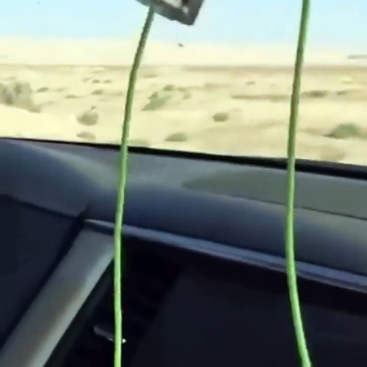 Qatar Royal Family Comes For The Hunting of Pakistan National Bird Chukar Partridge With The Permission of Nawaz Governm