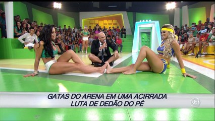 Gatas do Arena SBT na Disputa