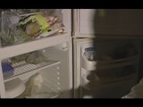 Camerino (MC) - Terremoto, bonifica frigoriferi contaminati (03.12.16)