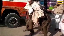 Top 10 Pakistani Funny Clips 2016 HD ▶ NEW Pashto very funny video clip 2016