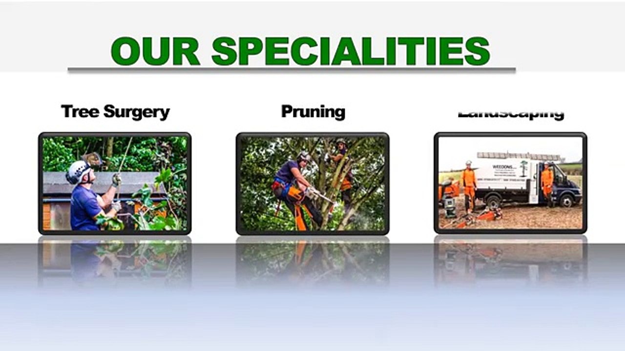 Emergency Tree Surgery Nottingham