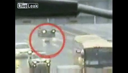 Hero Dog Saves Wounded Dog on Highway