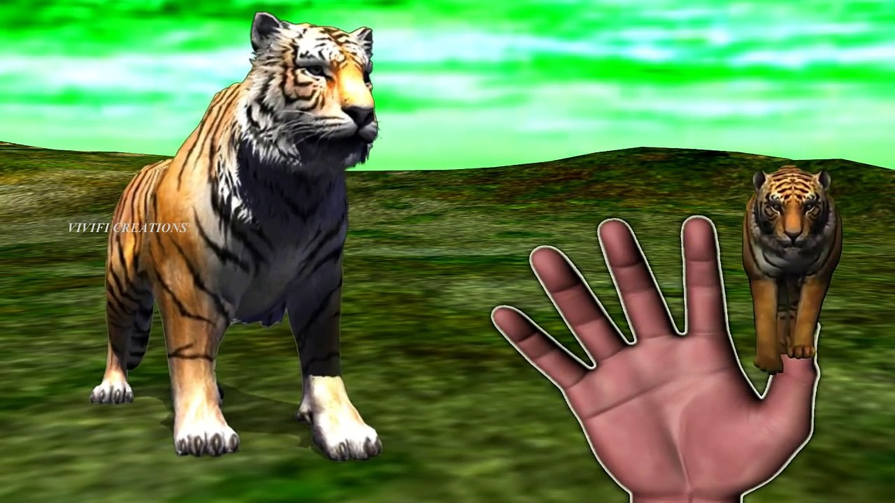Tiger Finger Family Song Wild Cat Finger Family Song Wild Animal Finger Family Rhyme With