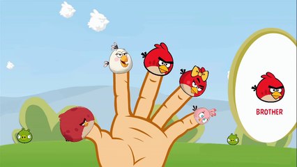 Daddy Finger Family Collection - Angry Birds Finger Family - Funny Finger Family