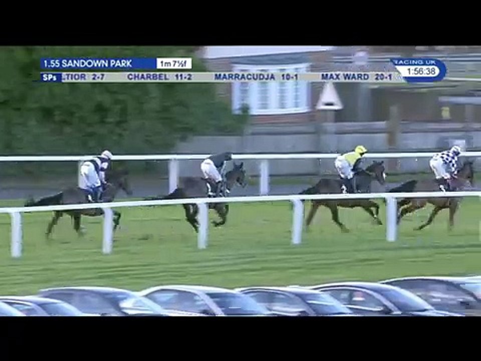 HENRY VIII NOVICES' STEEPLE CHASE, G1, SANDOWN PARK (UK), 2016-12-03