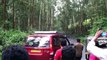 ---Munnar Wild Elephant attack people and car [Padayappa Elephant] india video