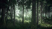 The Last of Us Part II - Reveal Trailer