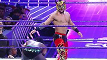 Lince Dorado brings unique lucha action to WWE 205 Live