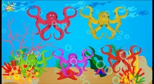 Funny Octopus Vs Electric JellyFish Finger Family | Sea Creatures Finger Family Songs
