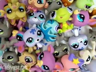 коллекции ЛИТЛ ПЕТ ШОП ! collection LITTLE PET SHOP !