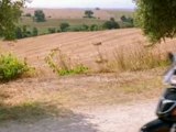 Dal film Le barzellette - Gigi Proietti - Il contadino