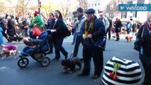 Scottish Christmas Walk Parade