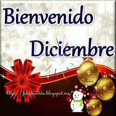 Felices Fiestas Navideñas