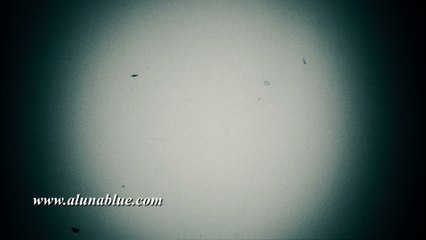 Film Leader Stock Footage - Film FX1053 HD, 4K