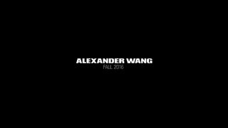 Alexander Wang - Fall Winter 2016-2017  part4