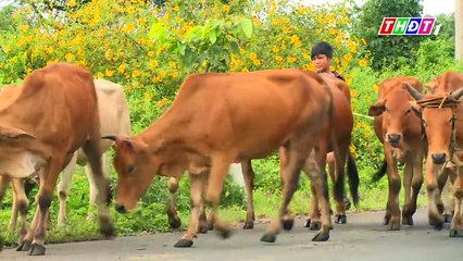 THDT - Tập 11- Khám phá hồ trên núi - Ngược dòng sông Đồng Nai