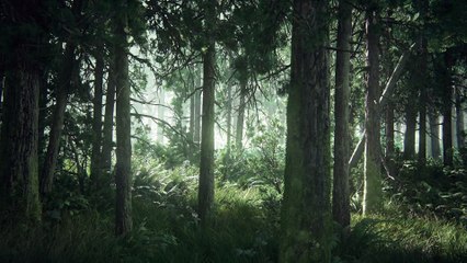 The Last of Us Part II - Trailer di presentazione PlayStation Experience 2016