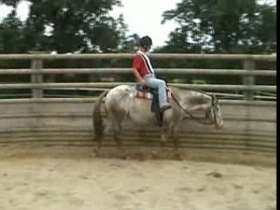 cours Vincent initiation