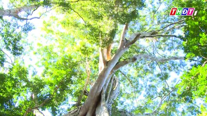 THDT - Ngược dòng sông Đồng Nai - Tập 13- Một ngày ở Nâm Nung