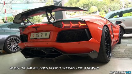 LOUDEST Lamborghini Aventador Start Up I've Ever Heard!!