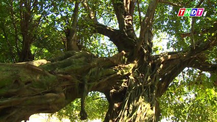 THDT - Ngược dòng sông Đồng Nai - Tập 14- Dấu tích ngàn xưa bên dòng sông