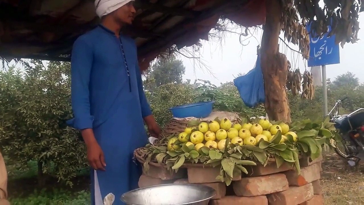 Most funny video (PV Production Phalia videos)    ZaidAliT   Phalia Vynz(720p)