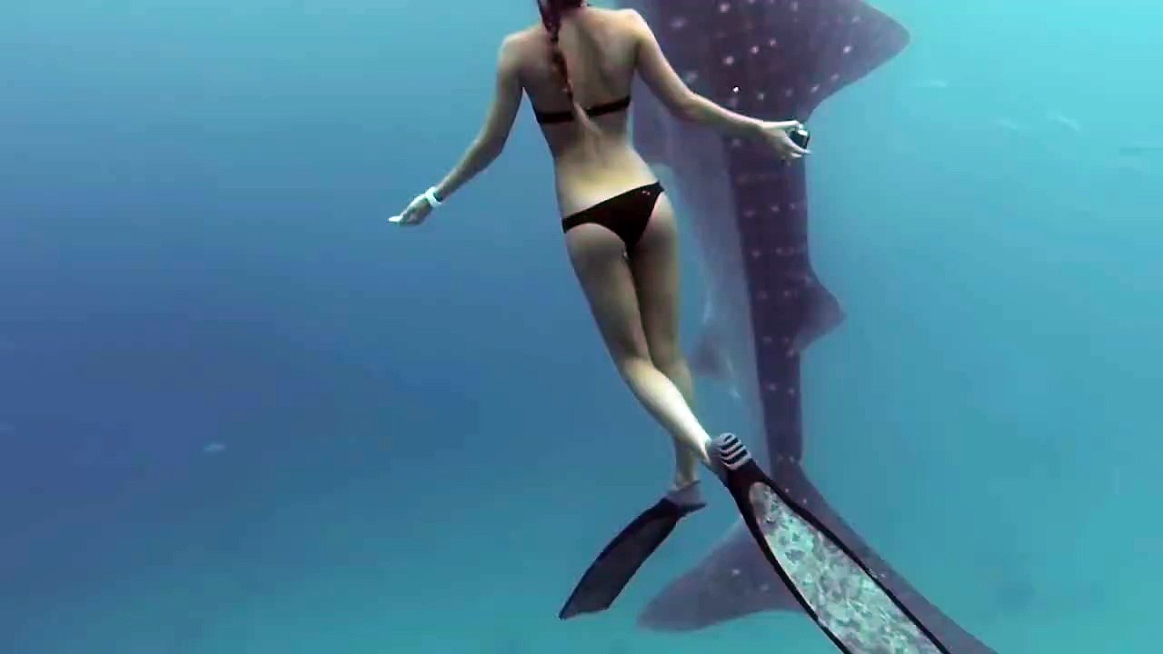 Une femme en bikini va nager avec un requin baleine