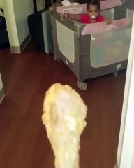 Funny Videos (@funny_videos) • Instagram photos and videos_4