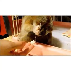 Funny Videos (@funny_videos) • Instagram photos and videos_5
