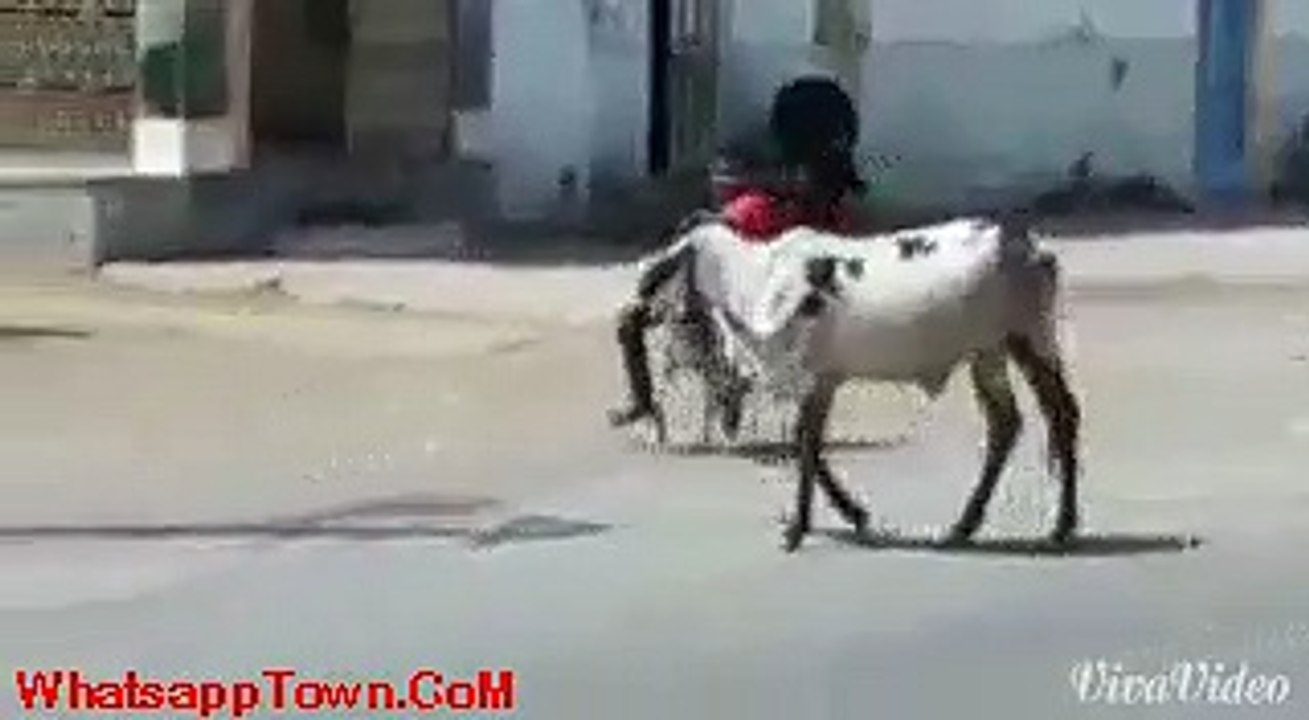 Funny-Ambulance-Driver-Pls-Be-Save--P