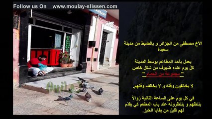 مصطفى مثال الشباب الجزائري الخلوق...Mustafa example of the Polite young Algerian