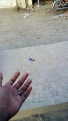 Reversed Camera