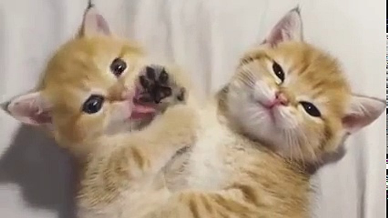 Sibling love