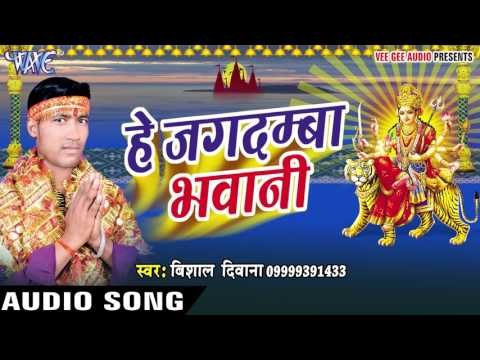 मईया झुलेली झुलनवा | Hey Jagdamba Bhawani | Vishal Deewana | Bhojpuri Song Devi Geet 2016