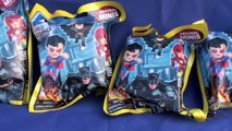 Batman Cat Woman DC Comics Surprise Blind Bag Toys Just for Fun Toy Collection!
