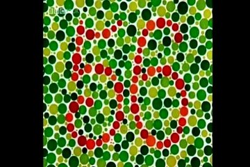 71 -Simon Schaffer - William Raveis