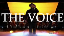 Christian Cuevas - Top 10- -Million Reasons-The Voice 2016