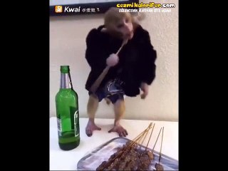 Bira Mangal Keyfi Yapan Maymun