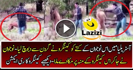 Man Fights With Kangaroo to save His dog being strangled